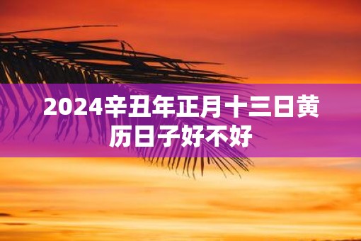 2025辛丑年正月十三日黄历日子好不好
