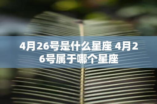 4月26号是什么星座 4月26号属于哪个星座