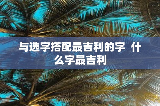 与选字搭配最吉利的字  什么字最吉利