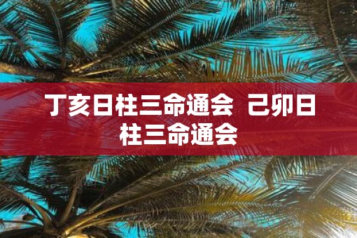丁亥日柱三命通会  己卯日柱三命通会