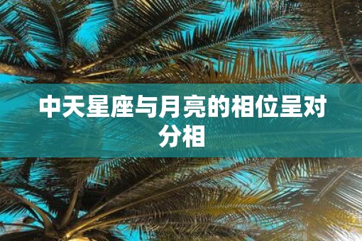 中天星座与月亮的相位呈对分相