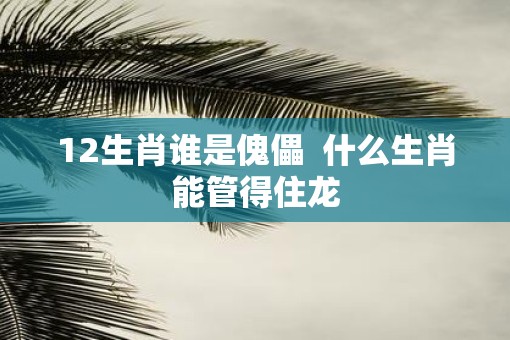 12生肖谁是傀儡  什么生肖能管得住龙