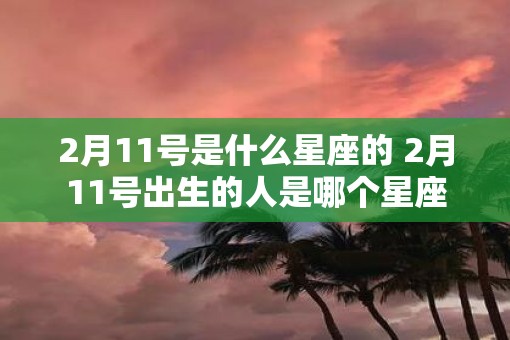 2月11号是什么星座的 2月11号出生的人是哪个星座