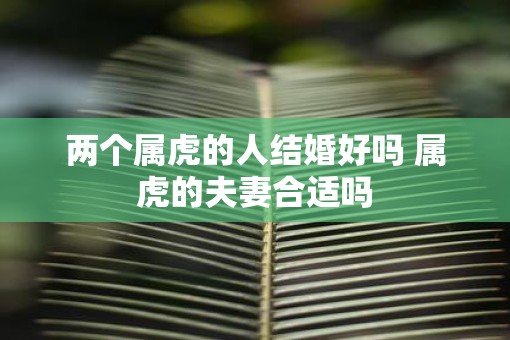 两个属虎的人结婚好吗 属虎的夫妻合适吗