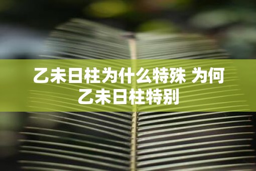乙未日柱为什么特殊 为何乙未日柱特别