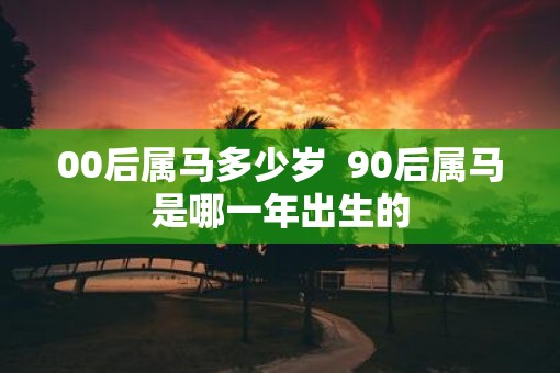 00后属马多少岁  90后属马是哪一年出生的