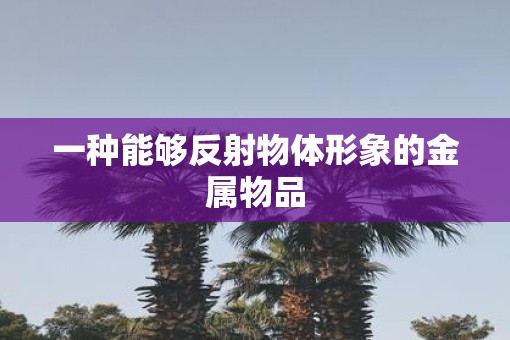 一种能够反射物体形象的金属物品