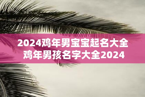 2025鸡年男宝宝起名大全 鸡年男孩名字大全2025