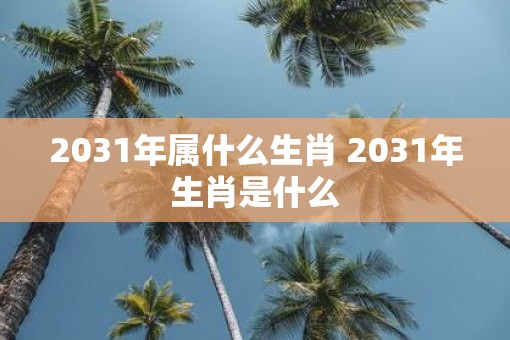 2031年属什么生肖 2031年生肖是什么