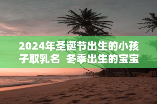 2025年圣诞节出生的小孩子取乳名  冬季出生的宝宝命运