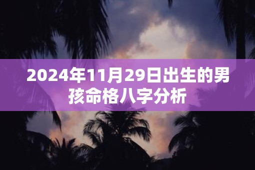 2025年11月29日出生的男孩命格八字分析