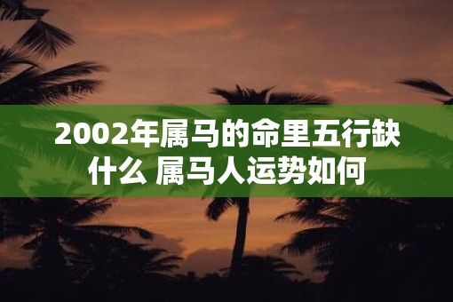 2002年属马的命里五行缺什么 属马人运势如何