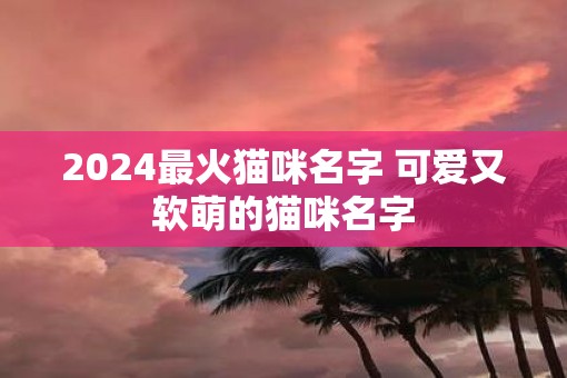 2025最火猫咪名字 可爱又软萌的猫咪名字