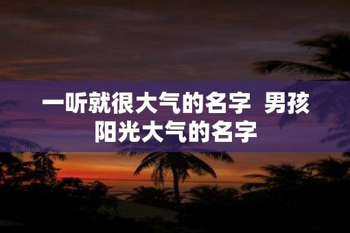 一听就很大气的名字  男孩阳光大气的名字