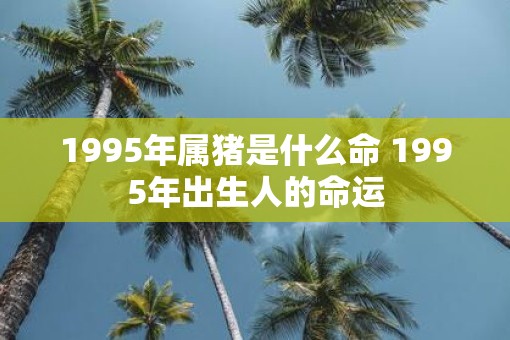 1995年属猪是什么命 1995年出生人的命运