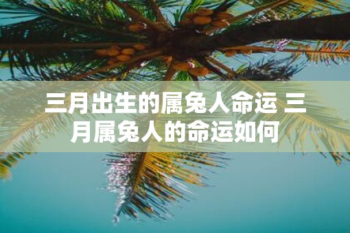 三月出生的属兔人命运 三月属兔人的命运如何