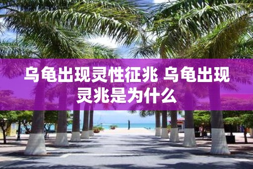 乌龟出现灵性征兆 乌龟出现灵兆是为什么
