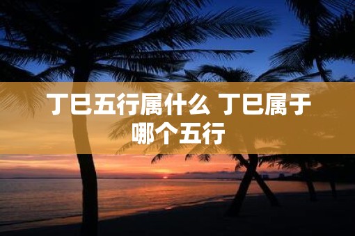 丁巳五行属什么 丁巳属于哪个五行