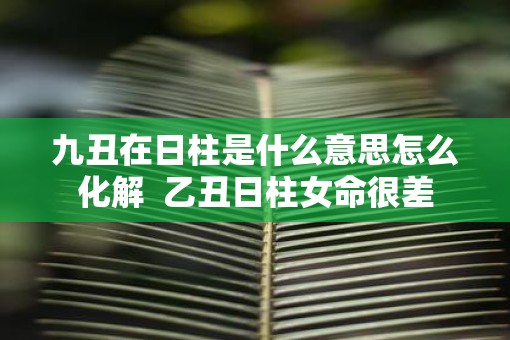 九丑在日柱是什么意思怎么化解  乙丑日柱女命很差