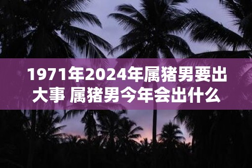 1971年2025年属猪男要出大事 属猪男今年会出什么大事