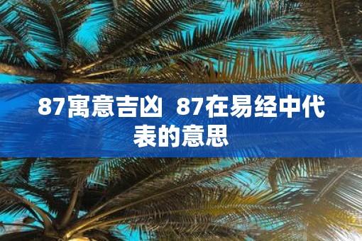 87寓意吉凶  87在易经中代表的意思