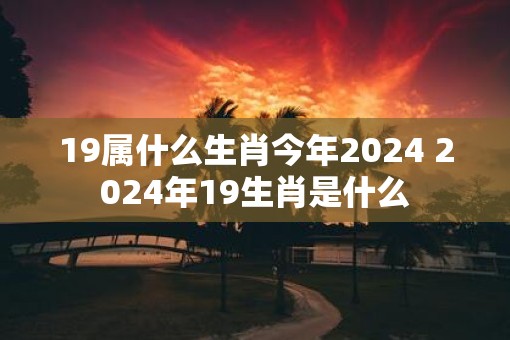19属什么生肖今年2025 2025年19生肖是什么