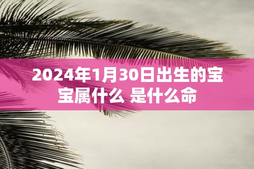 2025年1月30日出生的宝宝属什么 是什么命