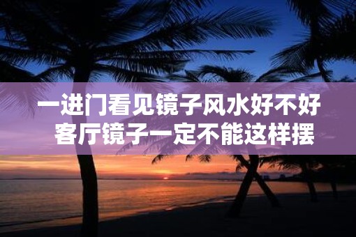 一进门看见镜子风水好不好  客厅镜子一定不能这样摆