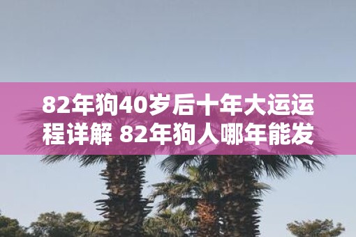 82年狗40岁后十年大运运程详解 82年狗人哪年能发财