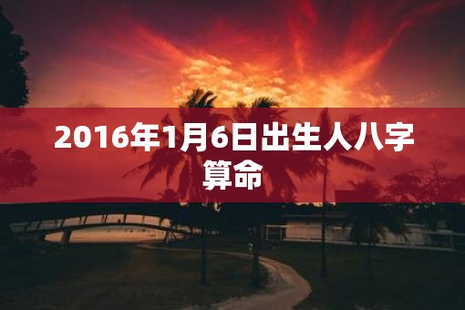 2016年1月6日出生人八字算命