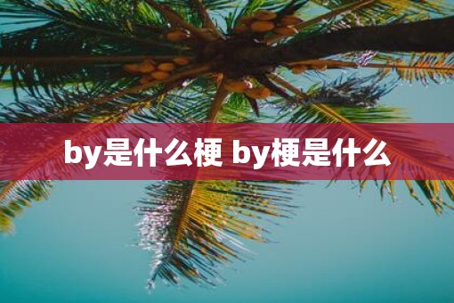 by是什么梗 by梗是什么