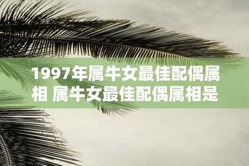 1997年属牛女最佳配偶属相 属牛女最佳配偶属相是哪个年份