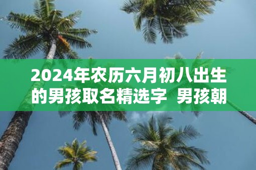 2025年农历六月初八出生的男孩取名精选字  男孩朝气蓬勃的名字