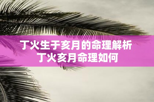 丁火生于亥月的命理解析 丁火亥月命理如何