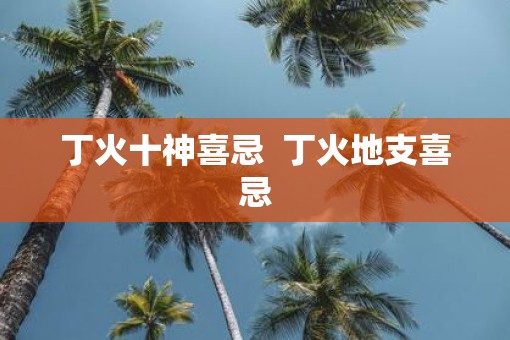 丁火十神喜忌  丁火地支喜忌