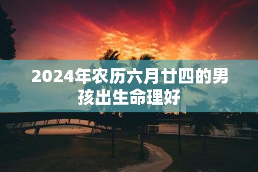 2025年农历六月廿四的男孩出生命理好