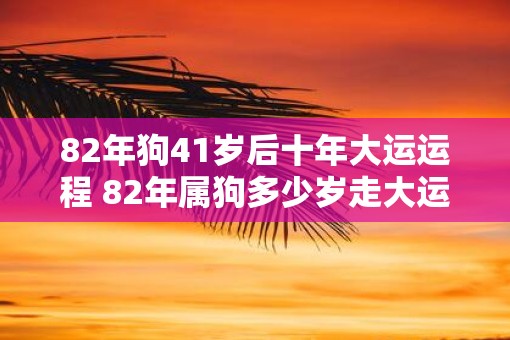 82年狗41岁后十年大运运程 82年属狗多少岁走大运