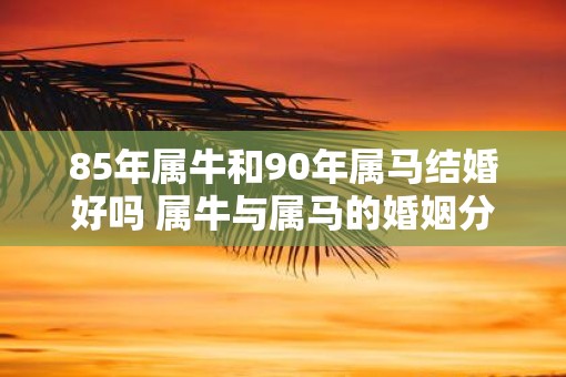 85年属牛和90年属马结婚好吗 属牛与属马的婚姻分析