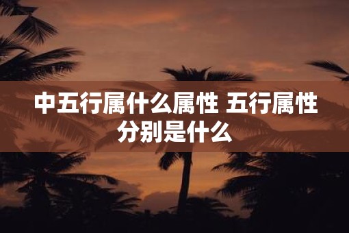 中五行属什么属性 五行属性分别是什么
