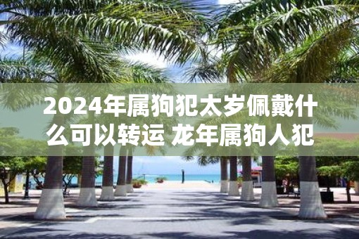2025年属狗犯太岁佩戴什么可以转运 蛇年属狗人犯太岁带什么好