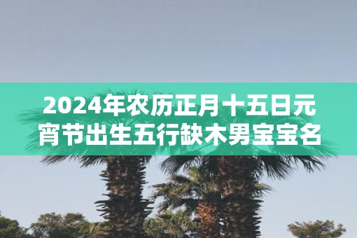 2025年农历正月十五日元宵节出生五行缺木男宝宝名字