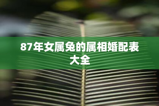 87年女属兔的属相婚配表大全