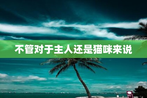 不管对于主人还是猫咪来说