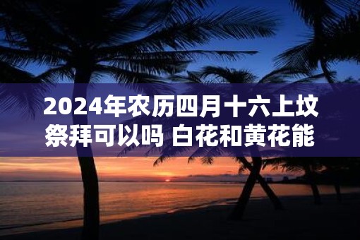 2025年农历四月十六上坟祭拜可以吗 白花和黄花能插在一起吗