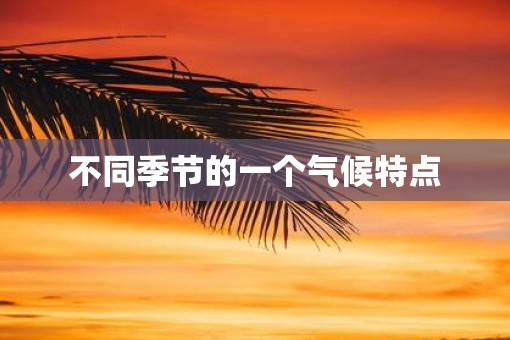 不同季节的一个气候特点