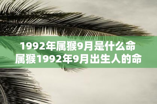 1992年属猴9月是什么命 属猴1992年9月出生人的命运如何