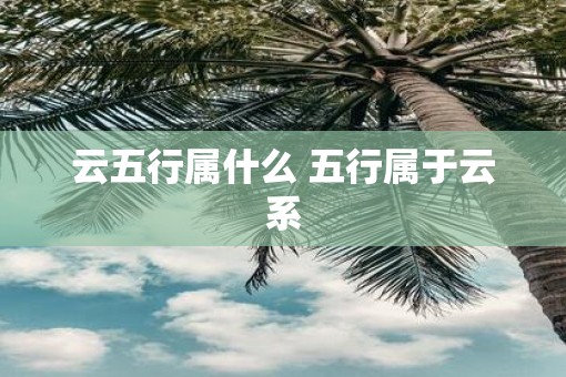 云五行属什么 五行属于云系
