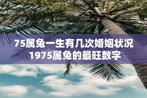 75属兔一生有几次婚姻状况 1975属兔的最旺数字