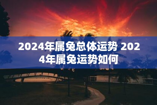 2025年属兔总体运势 2025年属兔运势如何