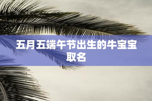 五月五端午节出生的牛宝宝取名